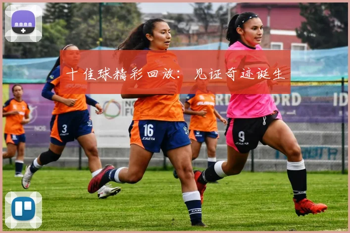 十佳球精彩回放:见证奇迹诞生